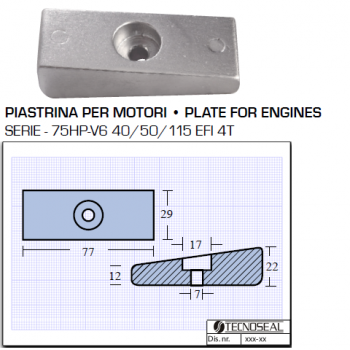 Placa para motores 75HP V6 40 40115 EFI 4T