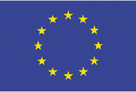 BANDERA EUROPA 20X30 CM