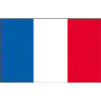 BANDERA FRANCIA 20X30 CM