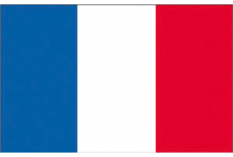 BANDERA FRANCIA 20X30 CM