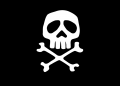 Bandera Pirata Cm 20X30