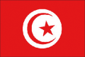 Bandera de túnez