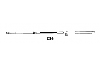 CABLE C36 10 '