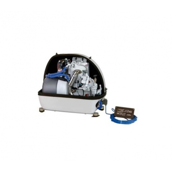 Generador de cangrejo ermitaño 4 SY