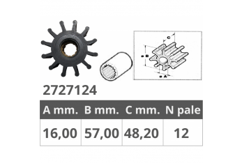 RODETE JAB.13554 JOHN.09-812B