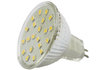 BOMBILLA 21 LED GZ4 11-30V