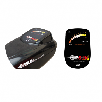 Instalación en popa de Gibsun Electric Motors